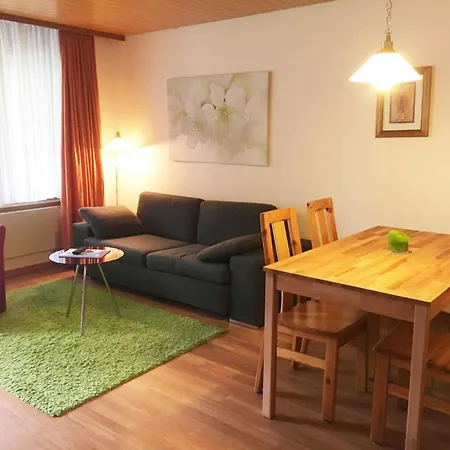 Apartment Blumenweg 8 Appartement-Fewo 2-Bettwohnung By Interhome Engelberg